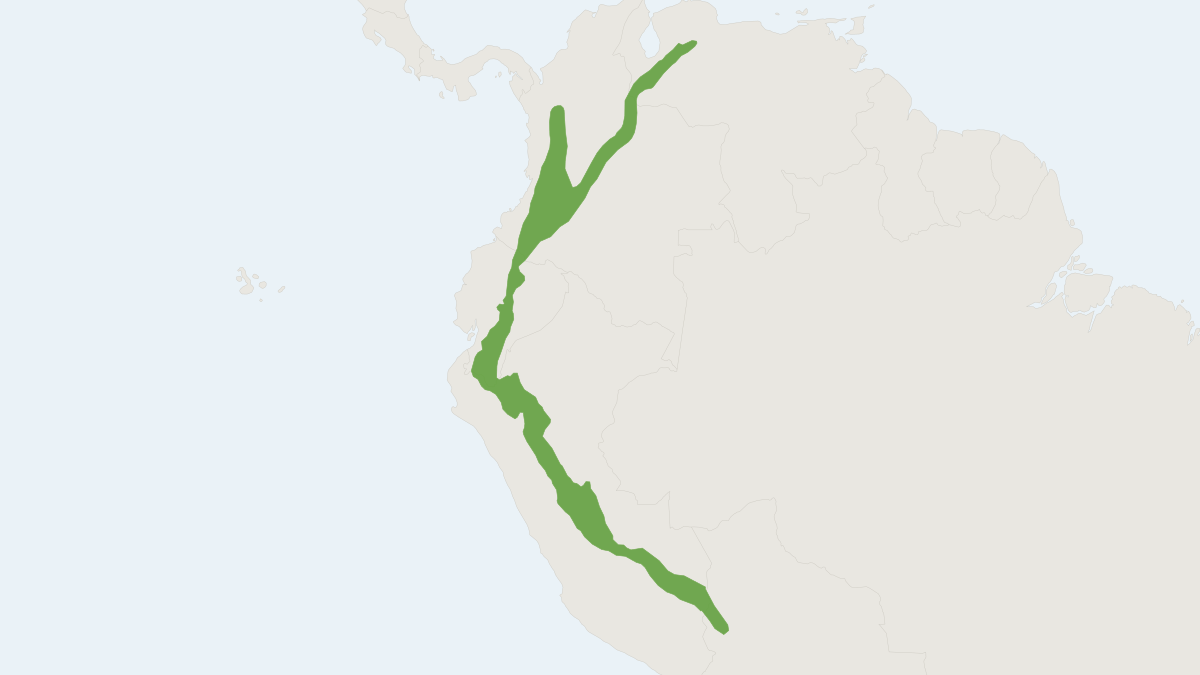 Range map of the Mountain Paca (Cuniculus taczanowskii) covering Bolivia, Colombia and Ecuador
