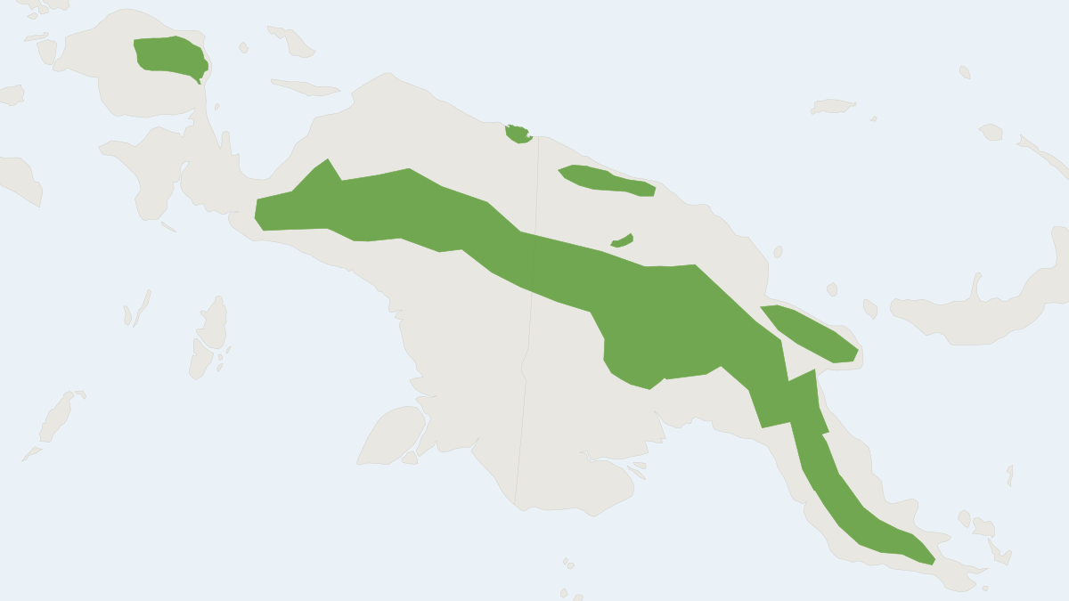 Range map of the Mountain Paramelomys (Paramelomys rubex)