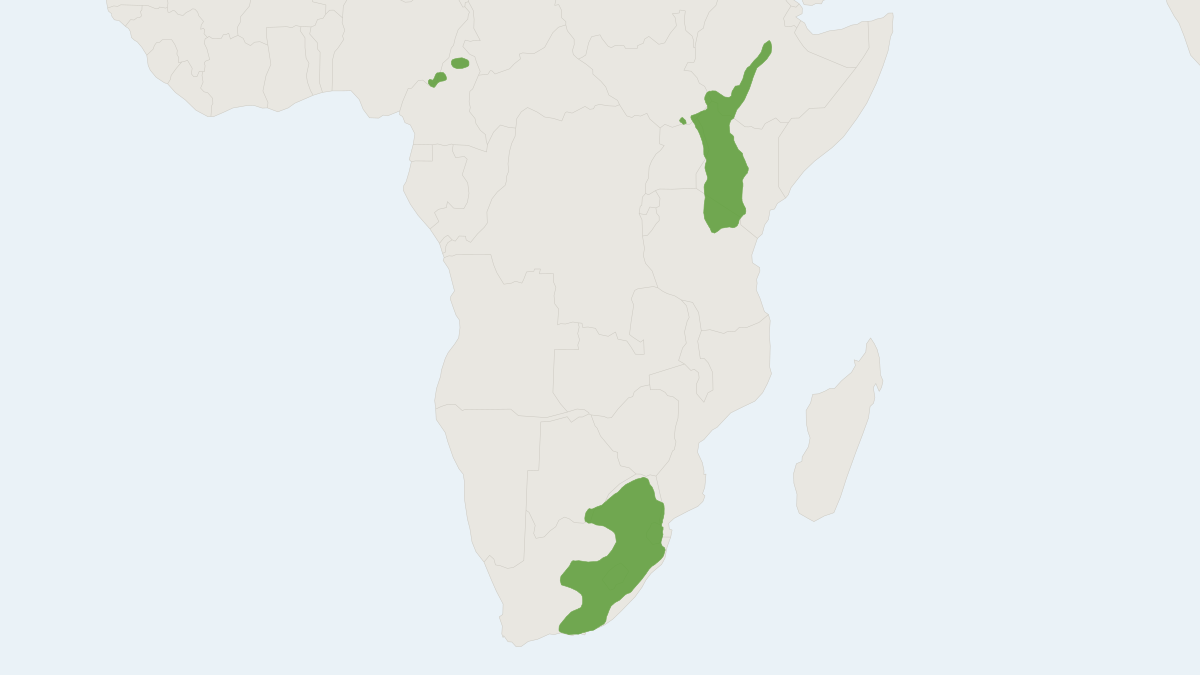 Range map of the Mountain Reedbuck (Redunca fulvorufula)