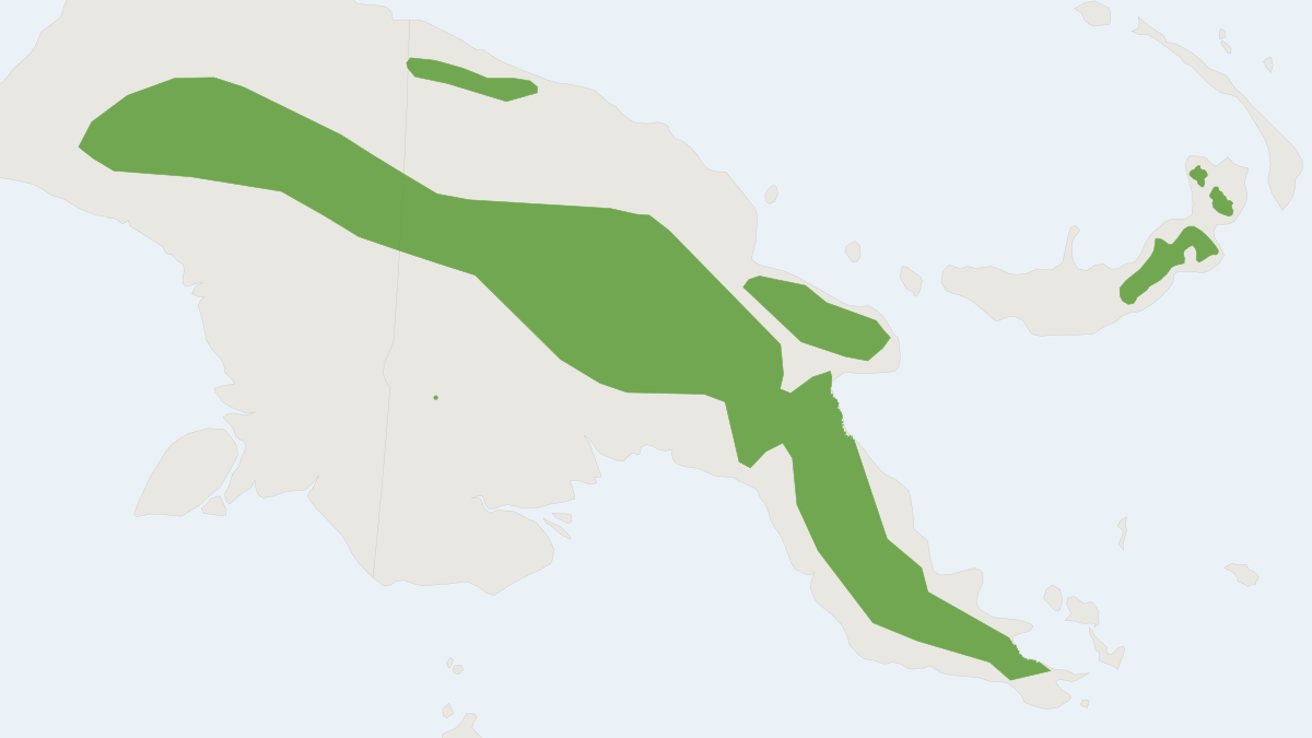 Range map of the Mountain Tube-nosed Bat (Nyctimene certans)