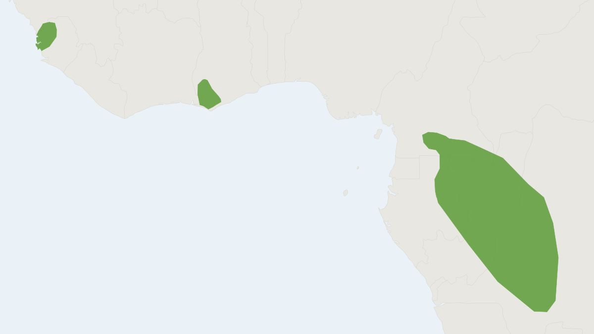 Range map of the Mouselike Pipistrelle (Hypsugo musciculus)