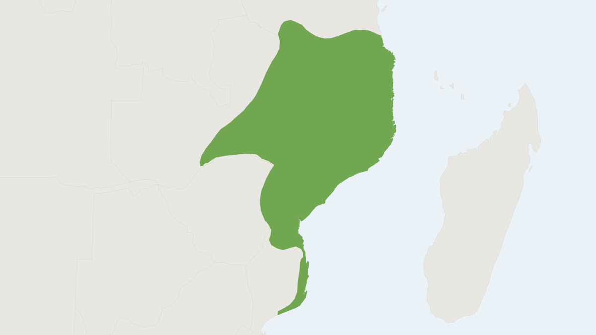 Range map of the Mutable Sun Squirrel (Heliosciurus mutabilis)
