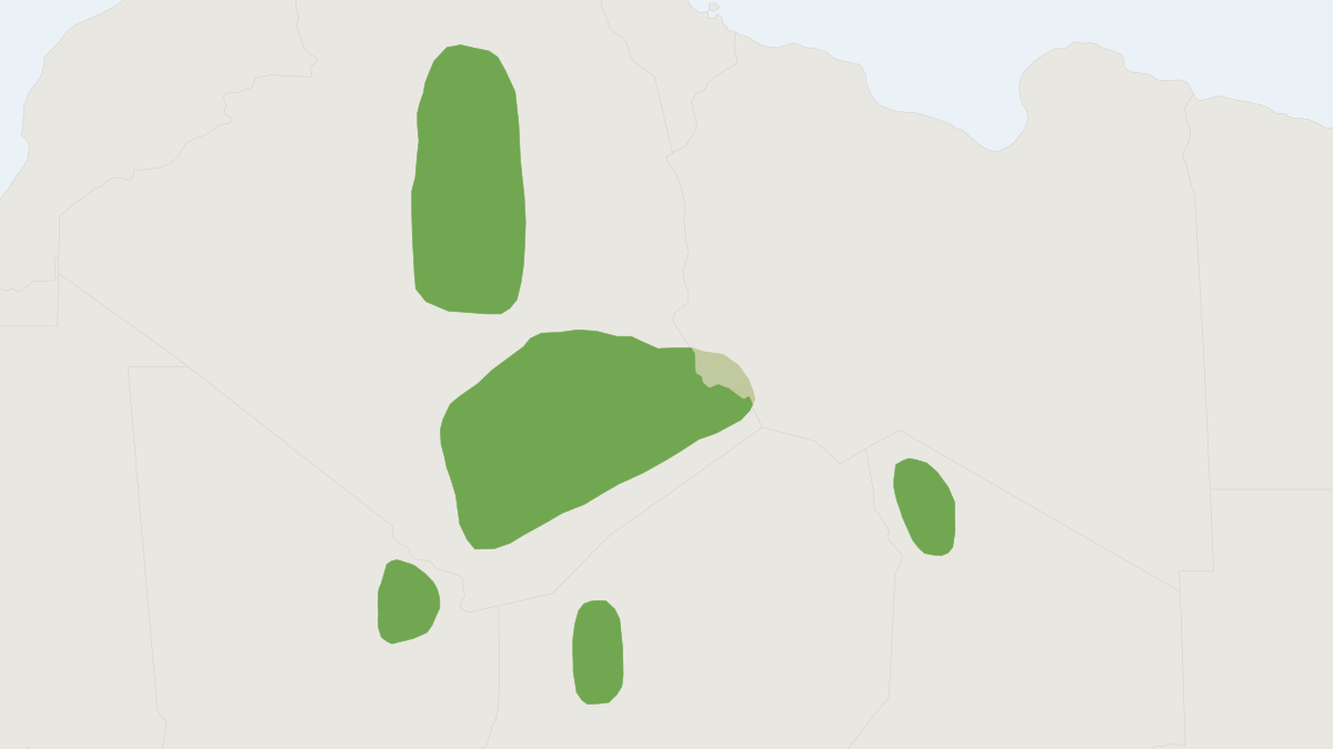 Range map of the Mzab Gundi (Massoutiera mzabi)