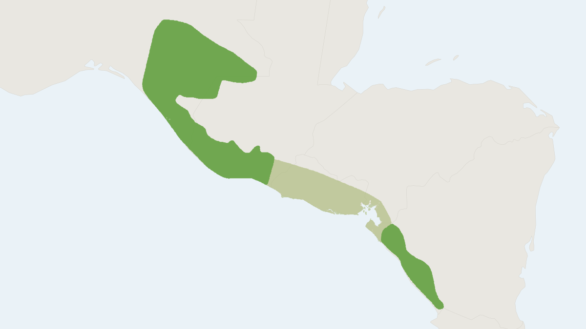 Range map of the Naked-eared Deer Mouse (Peromyscus gymnotis)