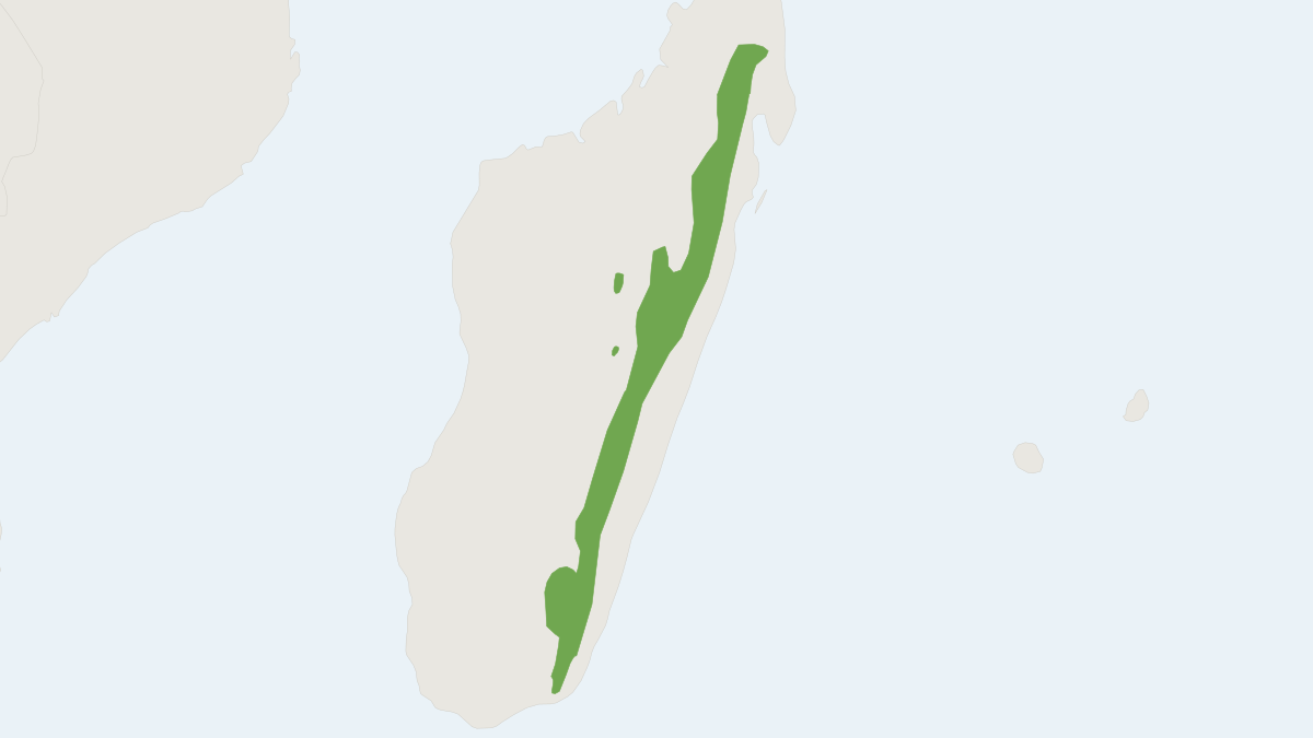 Range map of the Naked-nosed Shrew Tenrec (Microgale gymnorhyncha)