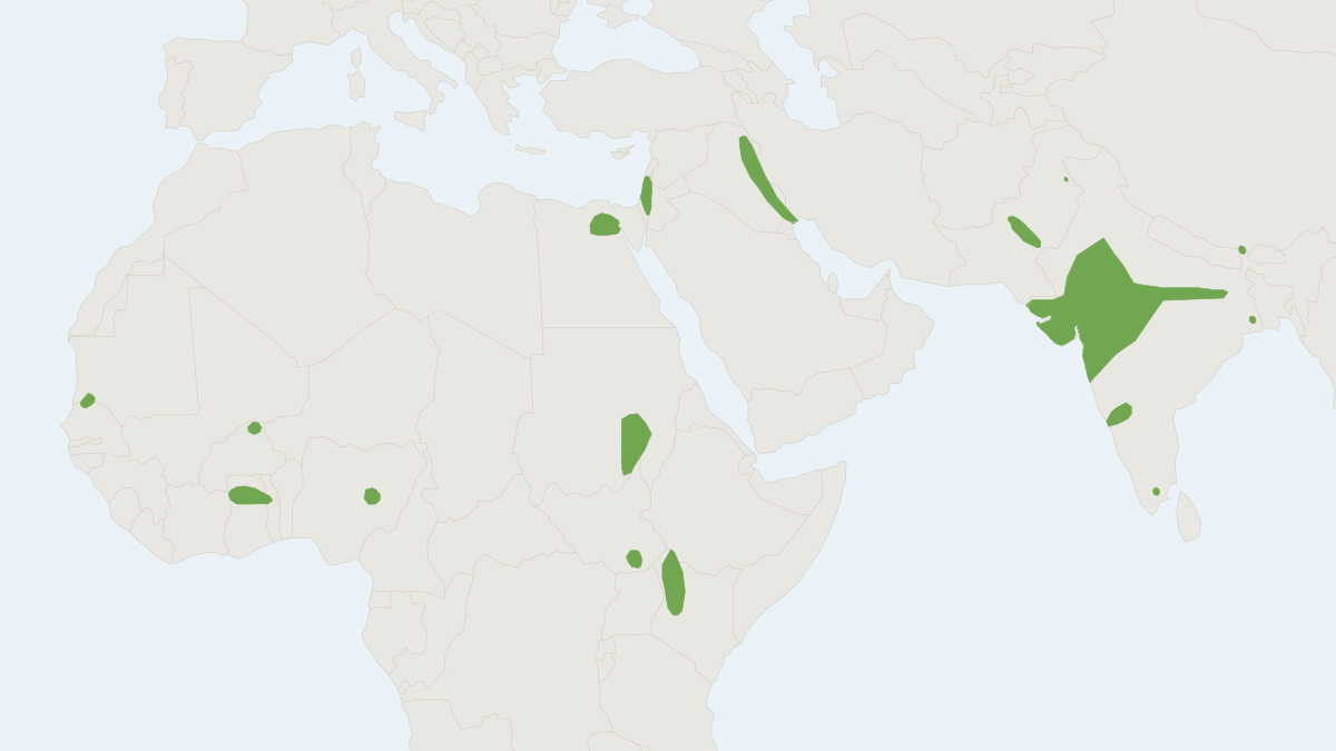 Range map of the Naked-rumped Tomb Bat (Taphozous nudiventris)