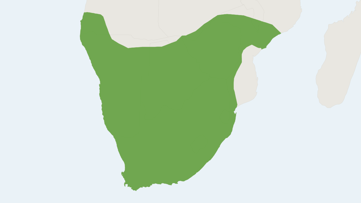 Range map of the Namaqua Rock Rat (Micaelamys namaquensis) covering Angola, Botswana and Lesotho