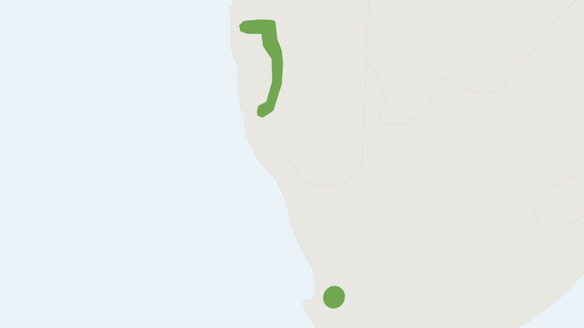 Range map of the Namib Long-eared Serotine (Laephotis namibensis)