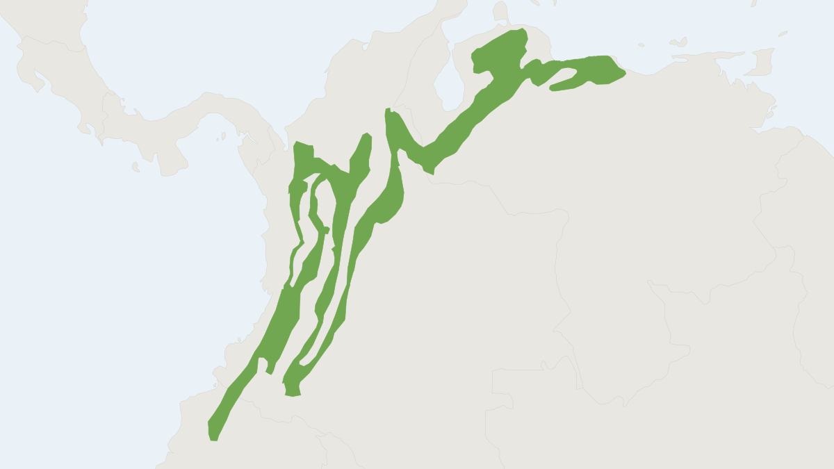 Range map of the Narrow-footed Bristly Mouse (Neacomys tenuipes)