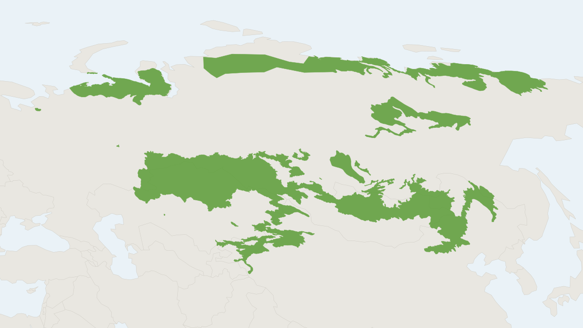 Range map of the Narrow-headed Vole (Stenocranius gregalis)