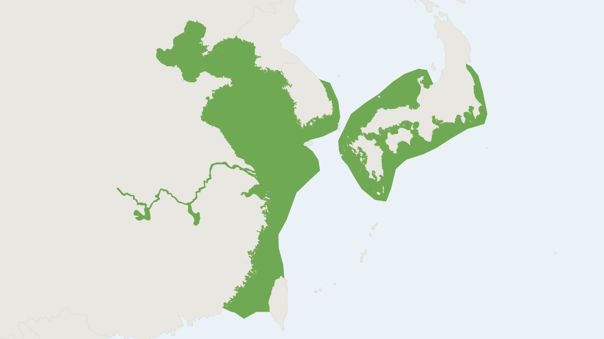 Range map of the Narrow-ridged Finless Porpoise (Neophocaena asiaeorientalis)