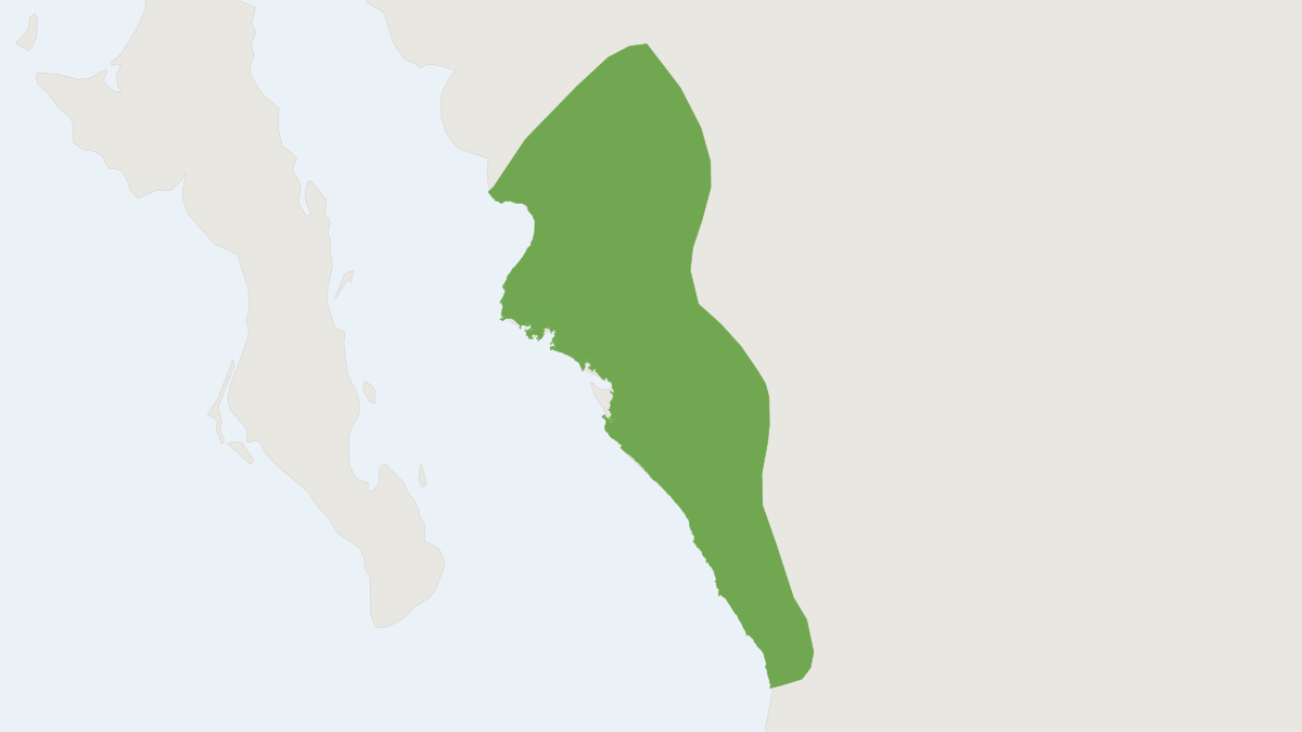 Range map of the Narrow-skulled Pocket Mouse (Chaetodipus artus) covering Mexico
