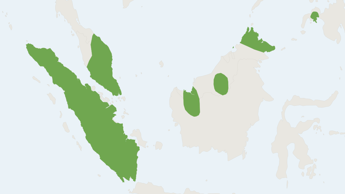 Range map of the Narrow-winged Pipistrelle (Pipistrellus stenopterus)