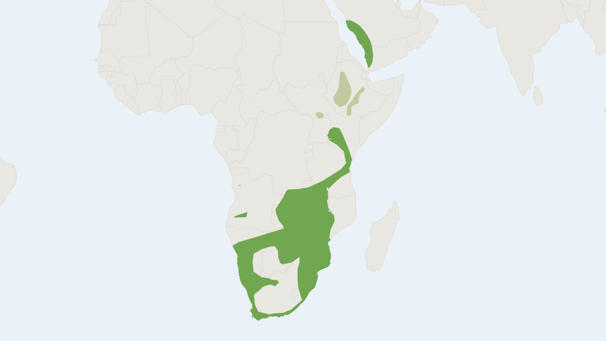 Range map of the Natal Long-fingered Bat (Miniopterus natalensis)