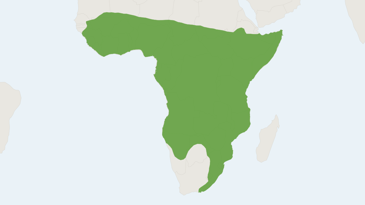 Range map of the Natal Multimammate Mouse (Mastomys natalensis)