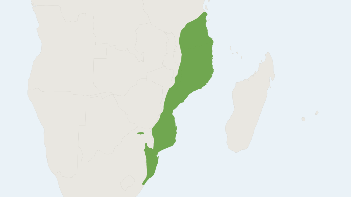 Range map of the Natal Red Duiker (Cephalophus natalensis) covering Eswatini, Malawi and Mozambique