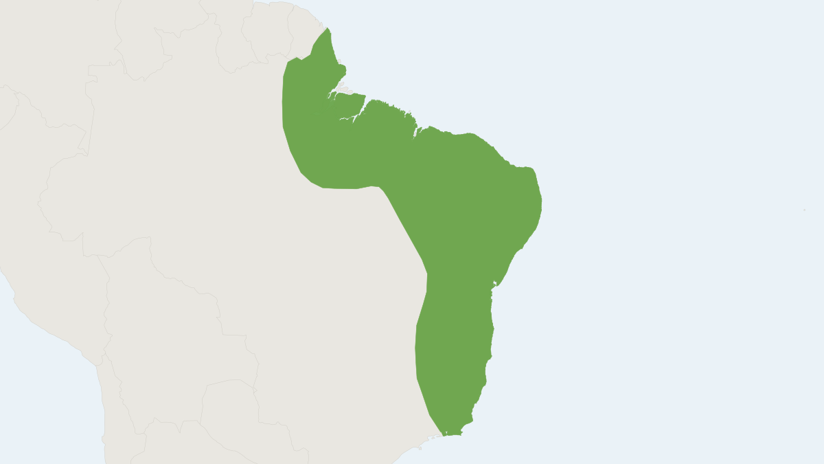 Range map of the Natalus espiritosantensis (Natalus espiritosantensis)