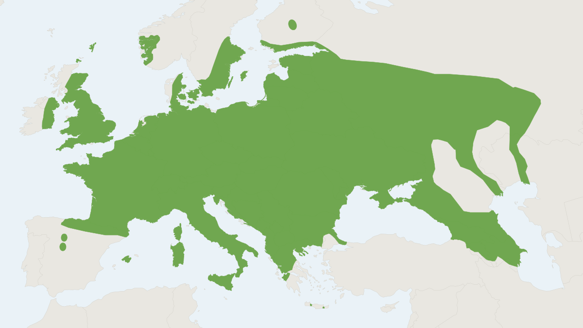 Range map of the Nathusius' Pipistrelle (Pipistrellus nathusii)