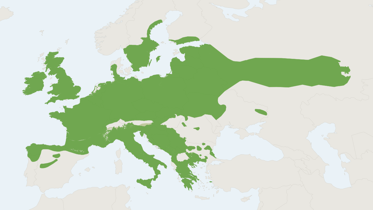 Range map of the Natterer's Bat (Myotis nattereri)