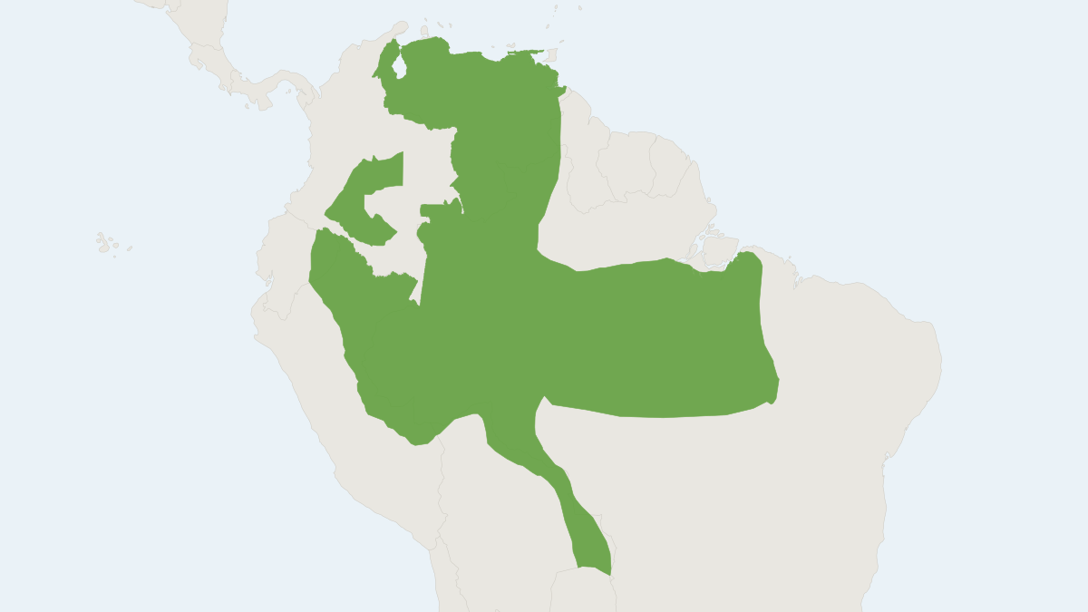 Range map of the Natterer's Oecomys (Oecomys concolor)