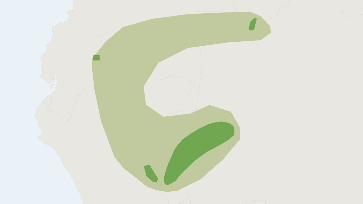 Range map of the Neblina Slender Opossum (Marmosops neblina)
