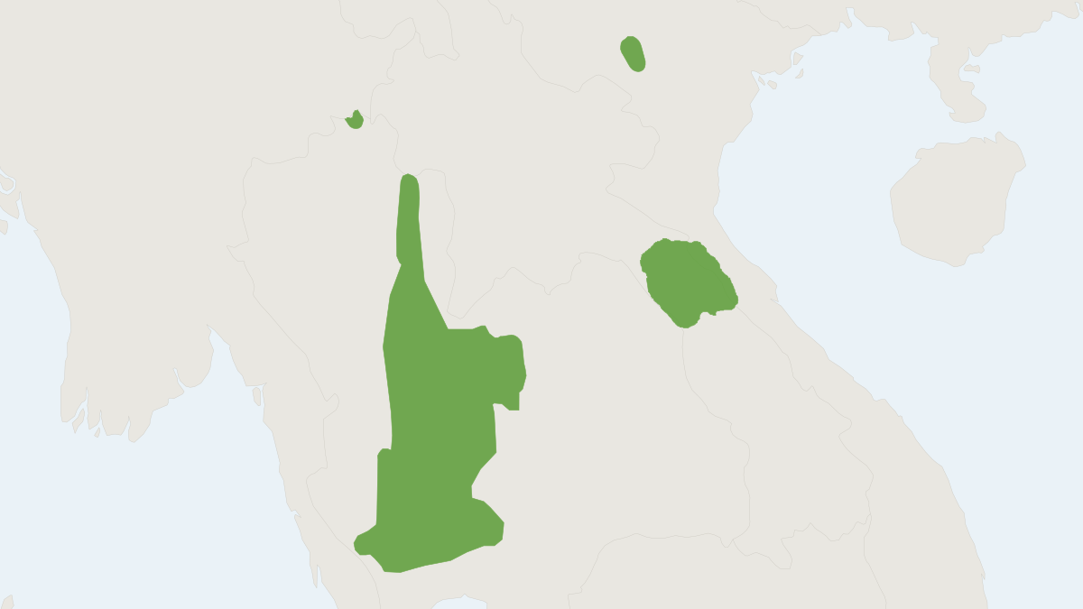 Range map of the Neill’s Leopoldamys (Leopoldamys neilli)