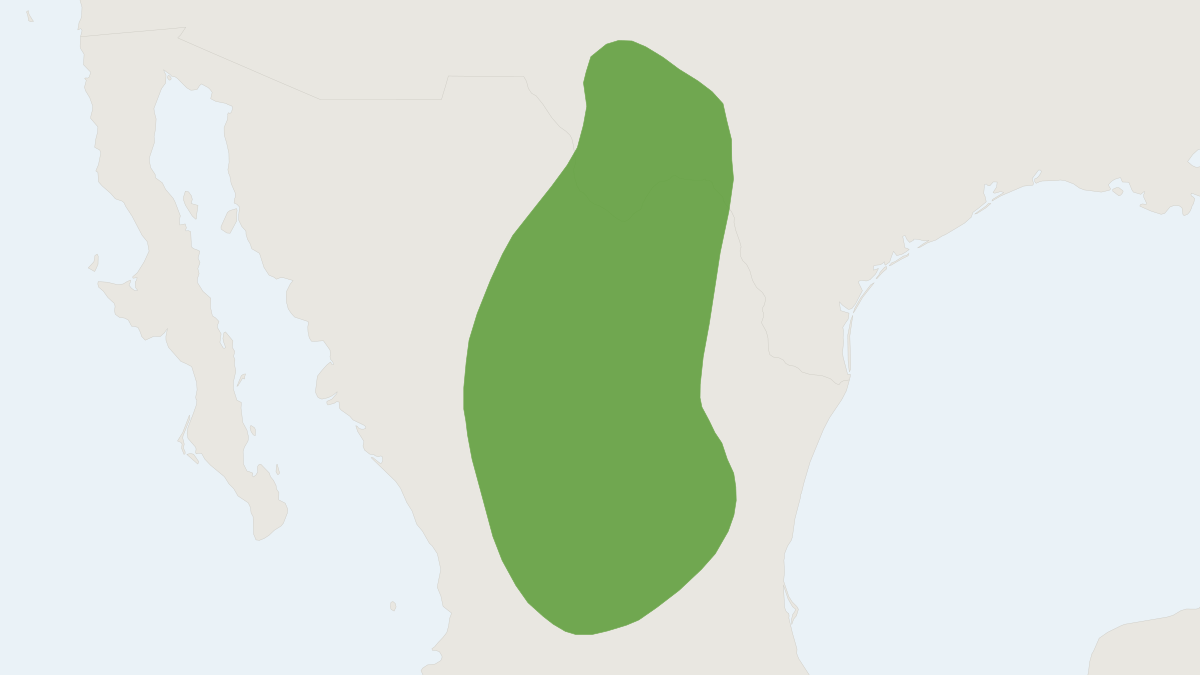 Range map of the Nelson's Pocket Mouse (Chaetodipus nelsoni) covering Mexico and United States