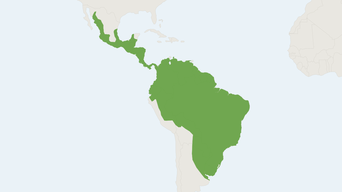 Range map of the Neotropical Otter (Lontra longicaudis)
