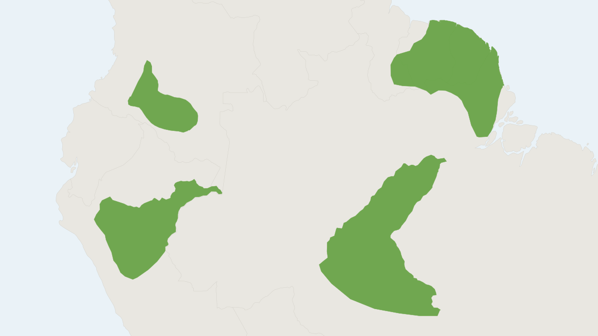 Range map of the Neotropical Pygmy Squirrel (Sciurillus pusillus)