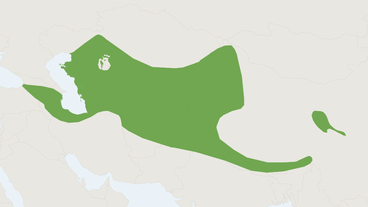 Range map of the Nepal Myotis (Myotis nipalensis)