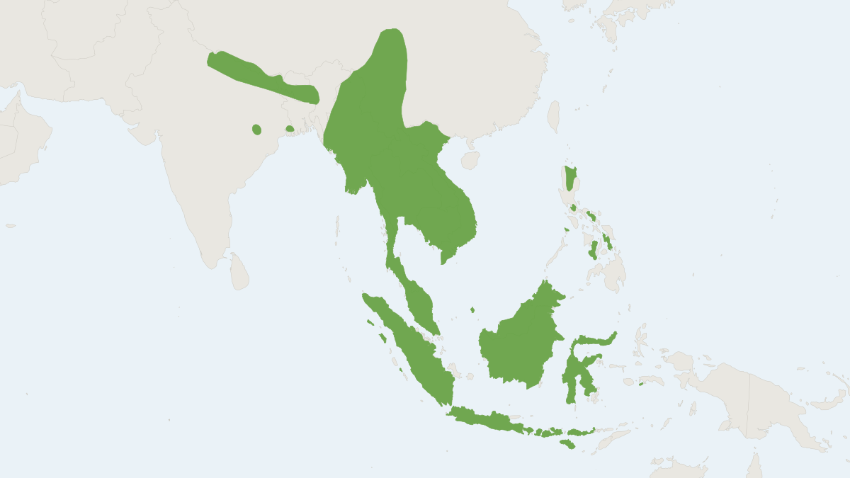 Range map of the Nepalese Whiskered Bat (Myotis muricola)
