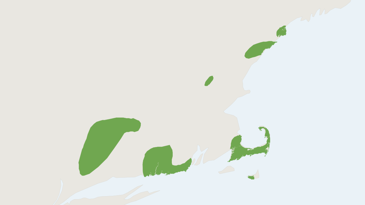 Range map of the New England Cottontail (Sylvilagus transitionalis)