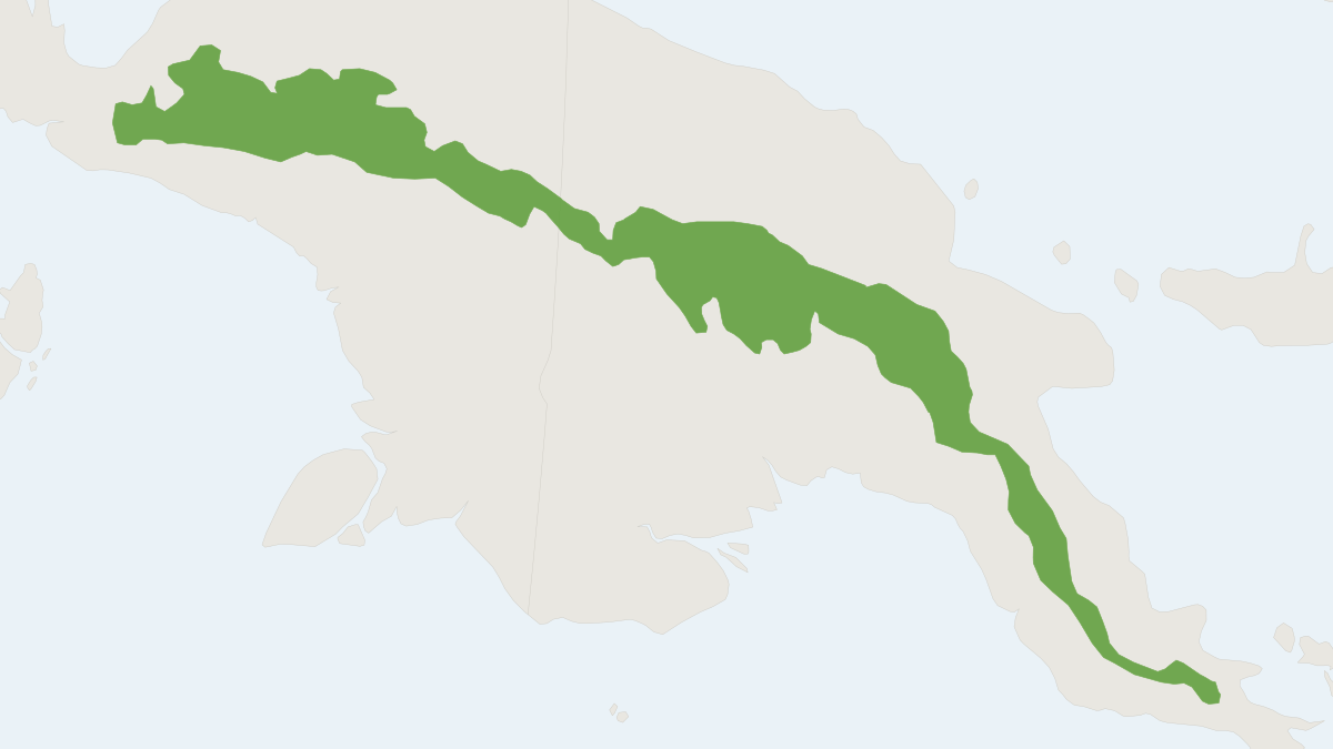 Range map of the New Guinea Free-tailed Bat (Austronomus kuboriensis)