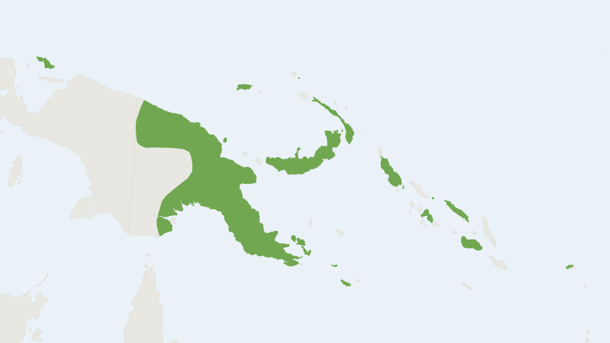 Range map of the New Guinea Pipistrelle (Pipistrellus angulatus)