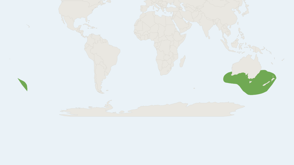 Range map of the New Zealand Fur Seal (Arctocephalus forsteri)