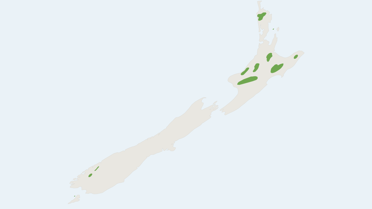 Range map of the New Zealand Lesser Short-tailed Bat (Mystacina tuberculata)