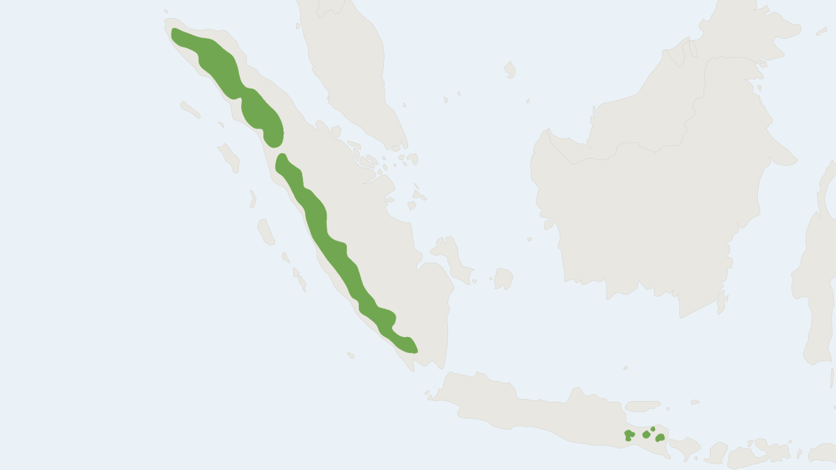 Range map of the Niobe Ground Squirrel (Lariscus niobe)
