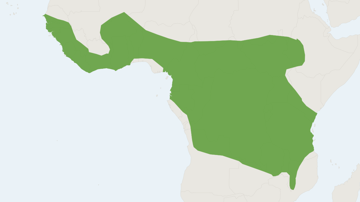 Range map of the Noack's Roundleaf Bat (Hipposideros ruber)