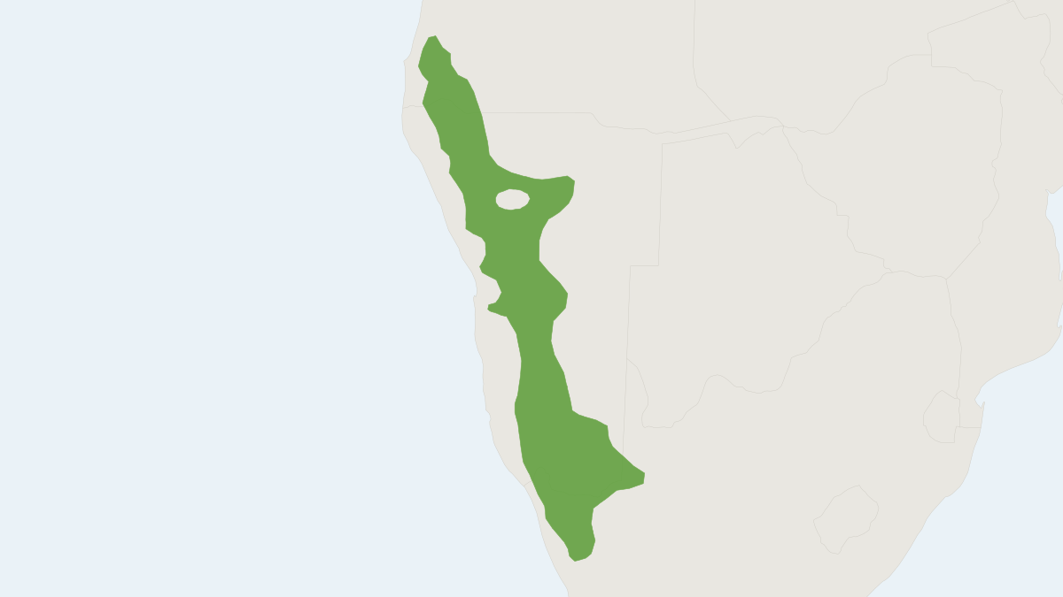 Range map of the Noki (Petromus typicus)
