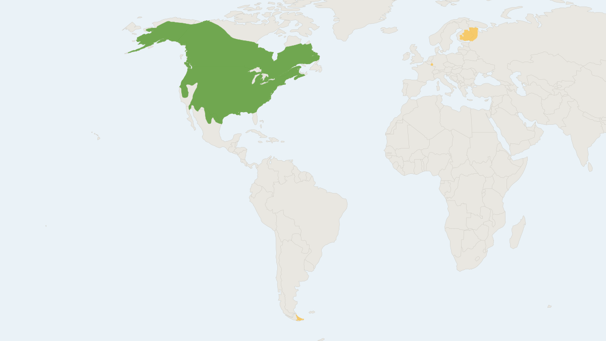 Range map of the North American Beaver (Castor canadensis) covering Argentina, Canada and Chile