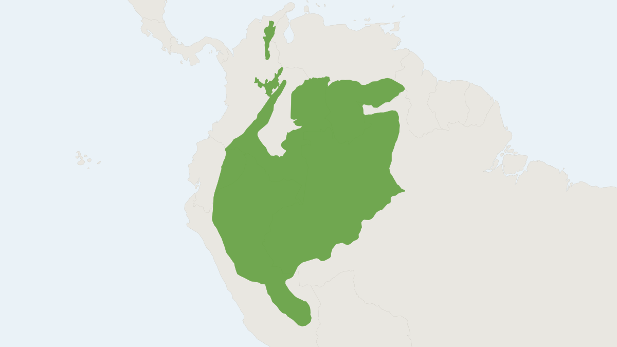 Range map of the Northern Amazon Red Squirrel (Sciurus igniventris)