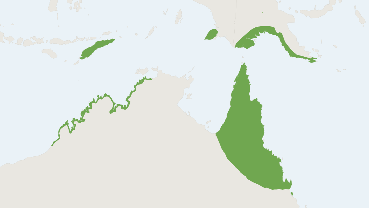 Range map of the Northern Broad-nosed Bat (Scotorepens sanborni)