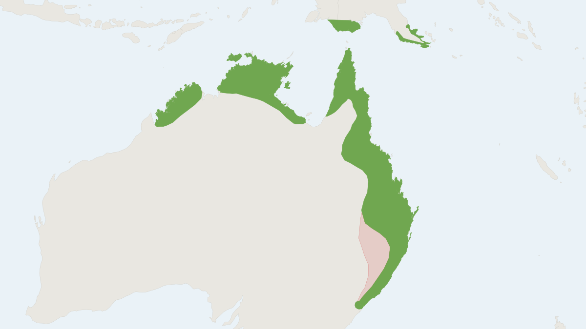Range map of the Northern Brown Bandicoot (Isoodon macrourus)