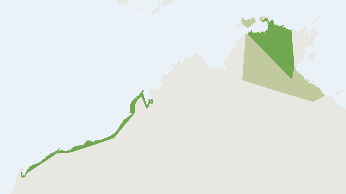 Range map of the Northern Coastal Free-tailed Bat (Ozimops cobourgianus)
