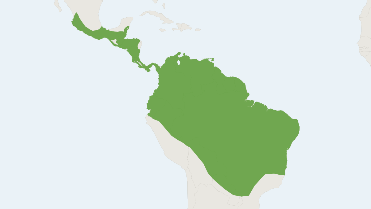 Range map of the Northern Ghost Bat (Diclidurus albus)