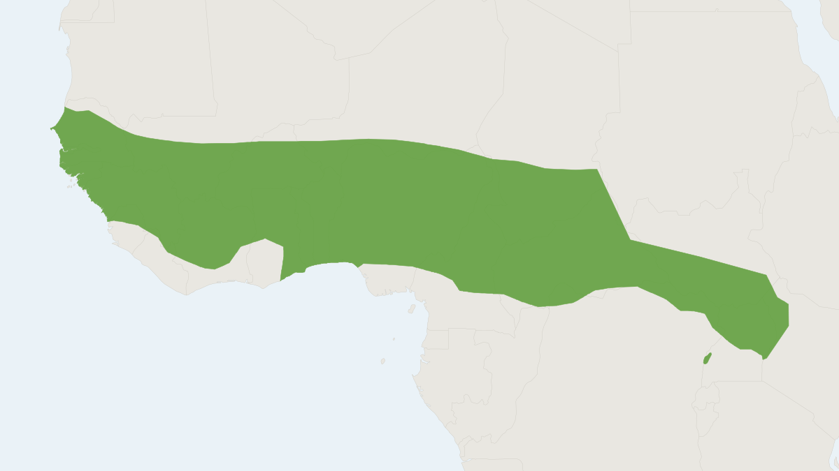 Range map of the Northern Giant Pouched Rat (Cricetomys gambianus)