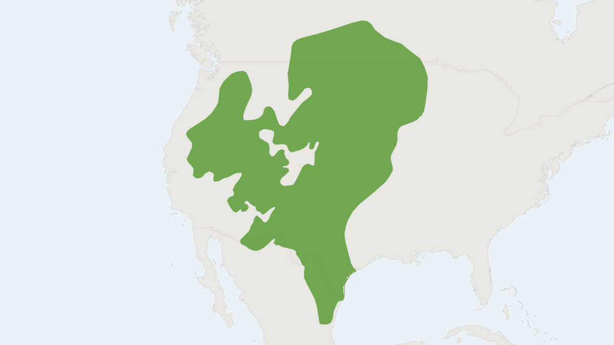 Range map of the Northern Grasshopper Mouse (Onychomys leucogaster)