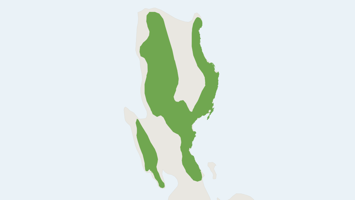 Range map of the Northern Luzon Phloeomys (Phloeomys pallidus)