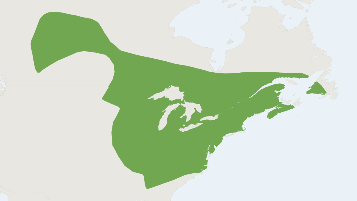 Range map of the Northern Myotis (Myotis septentrionalis)