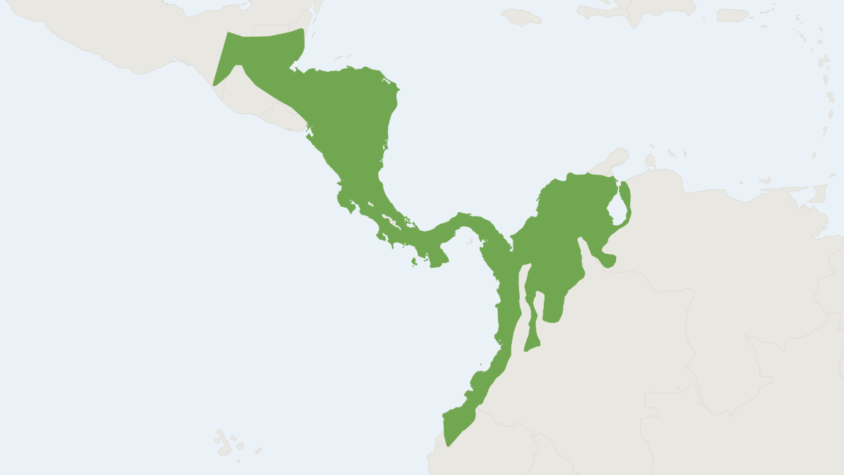 Range map of the Northern Naked-tailed Armadillo (Cabassous centralis) covering Belize, Colombia and Costa Rica